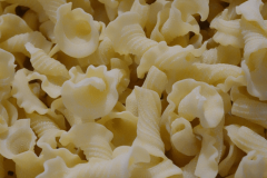 Gigli