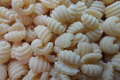 Ricci