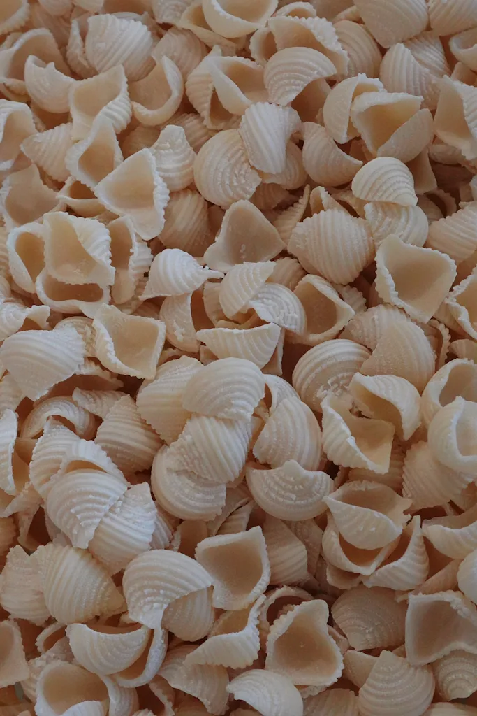 Conchiglie
